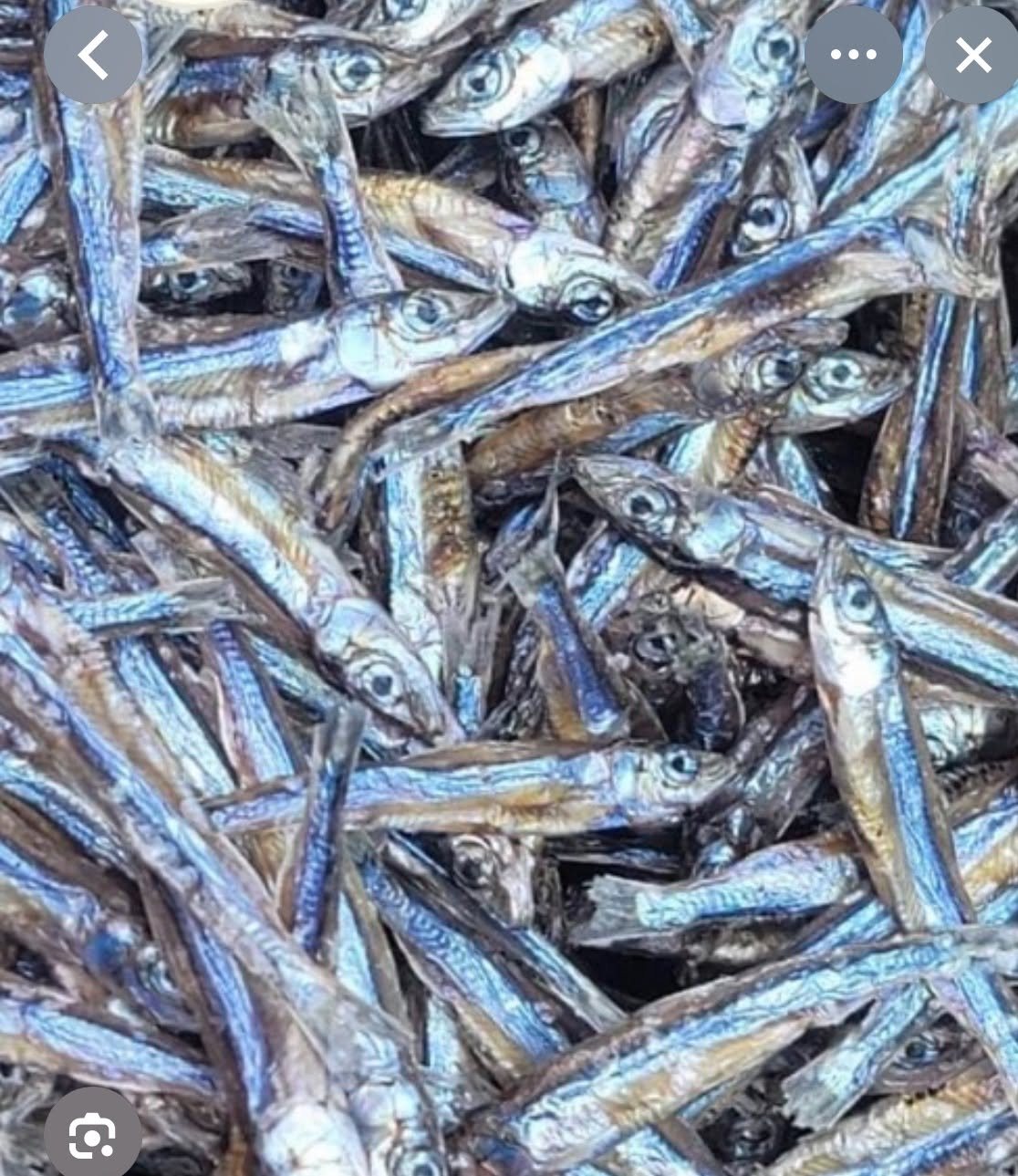 Dried Fish available at Mama Fido African Market in Tucson